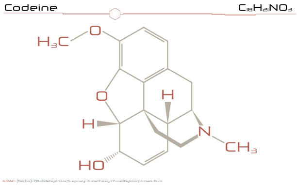 Codeine Drawing 90+ Codeine Stock Illustrations, Royalty-Free Vector Graphics & Clip ...