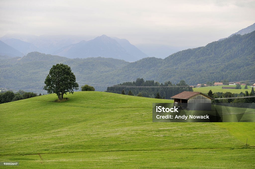 Baum und Scheune - Lizenzfrei Abgeschiedenheit Stock-Foto