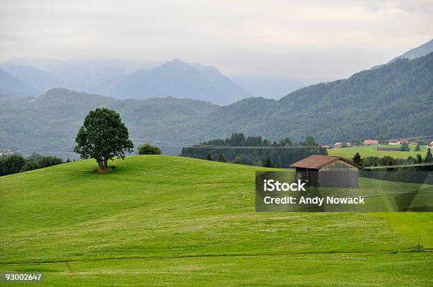 Drzewo I Stodoła - zdjęcia stockowe i więcej obrazów Allgäu - Allgäu, Alpy, Alpy Bawarskie