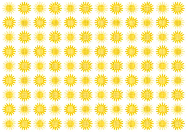 Vector illustration of Background illustration of sunflower