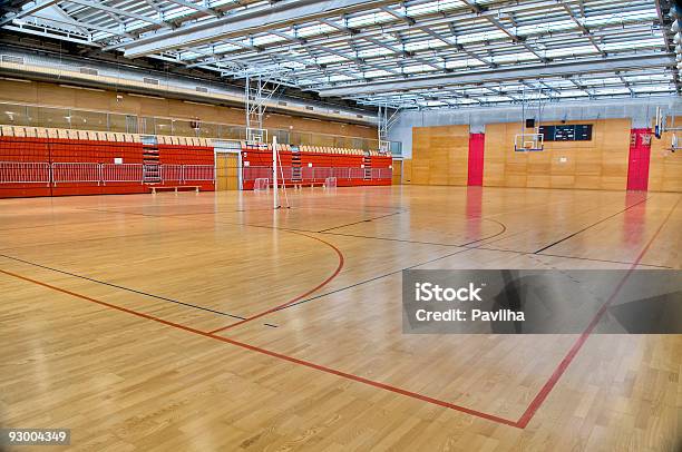 Puste Sports Hall Z Czerwony Metal Szklany Dach - zdjęcia stockowe i więcej obrazów Stadion - Stadion, W domu, Bez ludzi