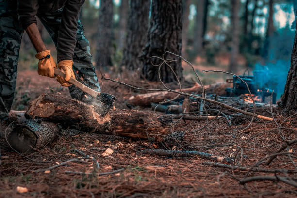 istock Chops tree in wood with sharp ax, close up axe, wood chips fly. Horizontal, blurred Background 930051384