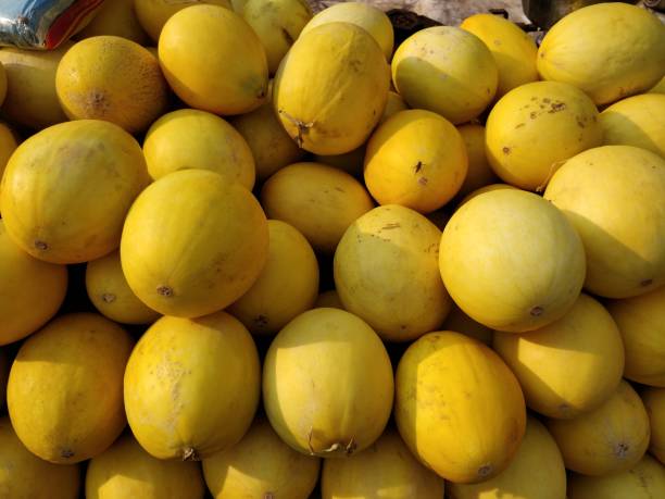 Full frame shot of melon fruits after harvest