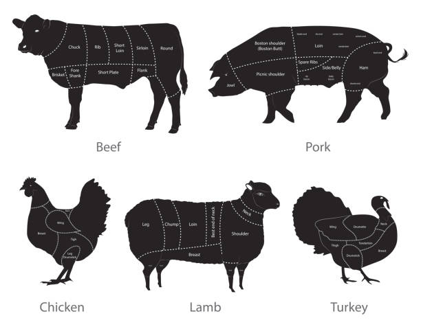 Meat cuts Meat cuts pork loin stock illustrations