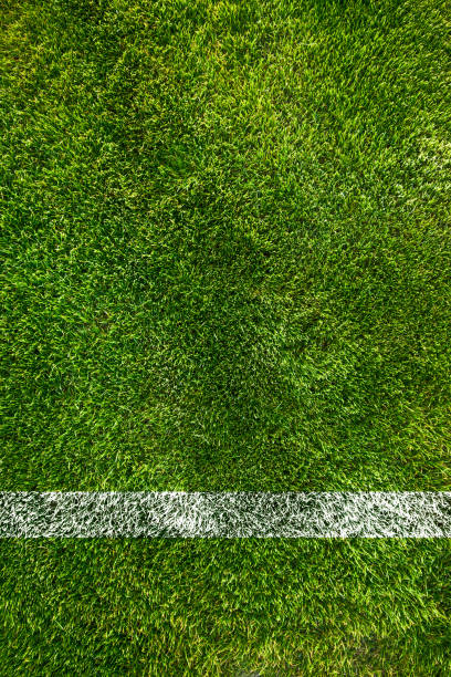 サッカー フィールドの境界線 - soccer field soccer football field grass ストックフォトと画像