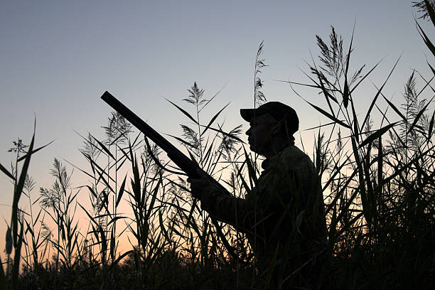 il cacciatore - bird hunter foto e immagini stock