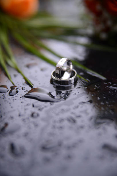 two gold rings on the wet surface stock photo