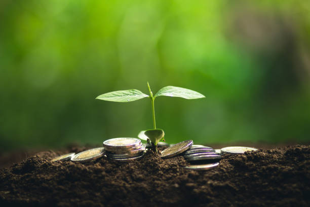 istock Young tree plant a tree Watering a tree in nature light and background,Growing trees and money 930067646
