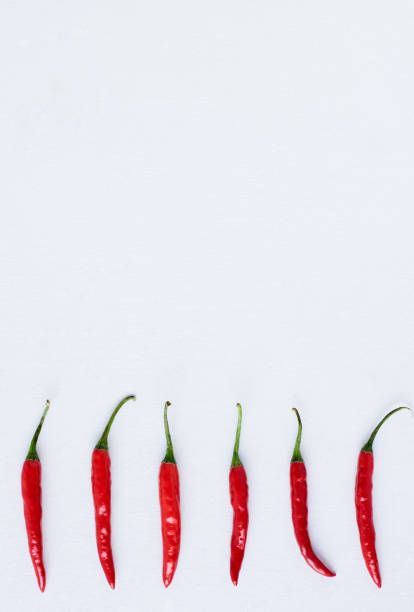 overhead of a row of red chillis on white background - birds eye chilli imagens e fotografias de stock