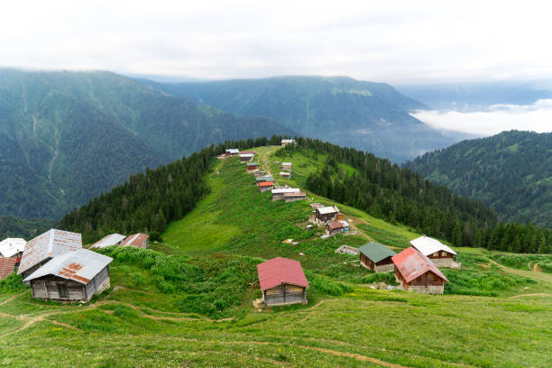 istock Pokut Plateau Rize Camlihemsin Turkey 930072510