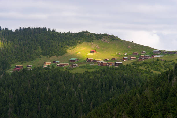 Sal Plateau Rize Camlihemsin Turkey Sal Plateau Rize Camlihemsin Turkey badara sene photos stock pictures, royalty-free photos & images