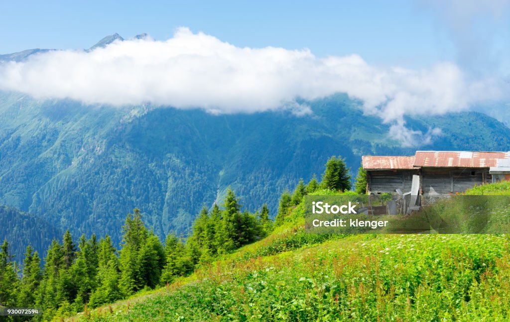 Sal Plateau Rize Camlihemsin Turkey Agitos Stock Photo