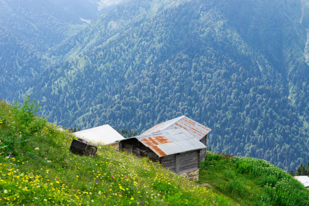 istock Pokut Plateau Rize Camlihemsin Turkey 930072606