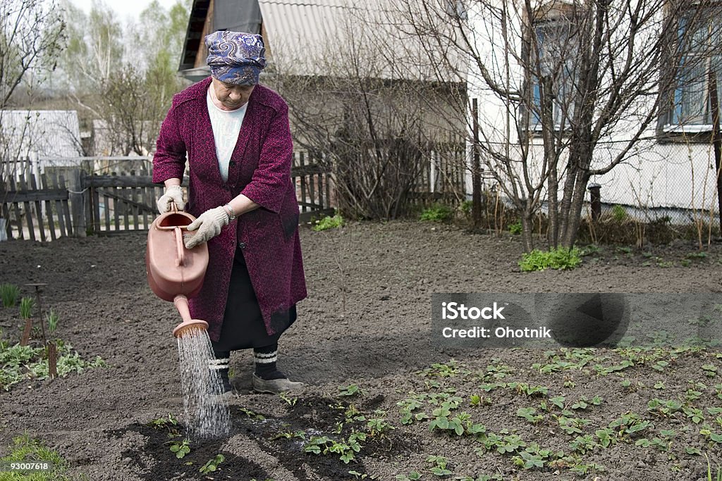 The gardener - Zbiór zdjęć royalty-free (Aktywni seniorzy)