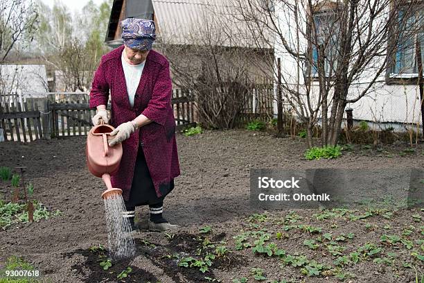 The Gardener - zdjęcia stockowe i więcej obrazów Aktywni seniorzy - Aktywni seniorzy, Aktywny tryb życia, Dom - Budowla mieszkaniowa