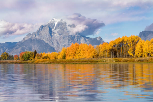 autumn reflection at oxbow bend - snake river mt moran nature grand teton national park imagens e fotografias de stock