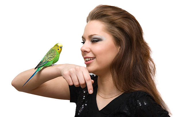 istock The girl with a parrot 93008109