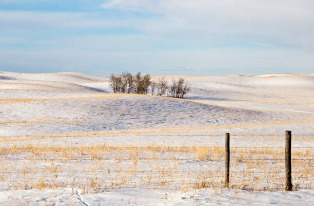 istock Prairie Landscape in Winter 930082052