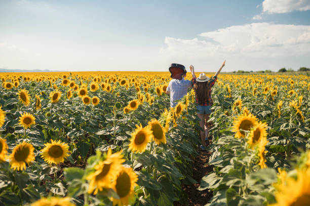 istock Summer, Music, Love, Freedom 930083474