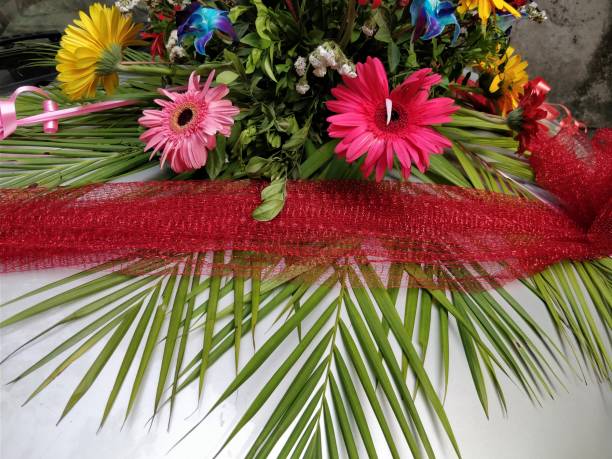istock Beautiful Gerbera flower blooming 930087118