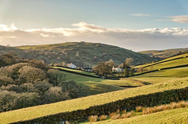 istock Remote farm buildings hidden in a valley 930089794