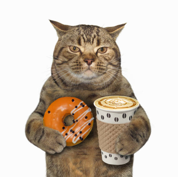 istock Cat with an orange donut and coffee 930094318