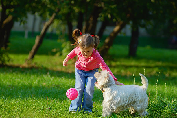 istock Girl and Her Dog 93010281