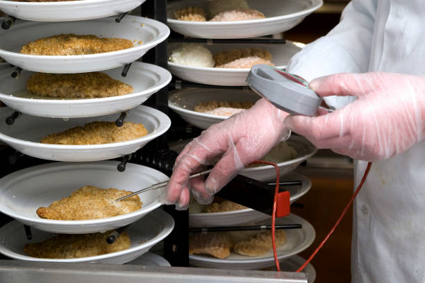 food inspector measuring temperature of food - food safety imagens e fotografias de stock