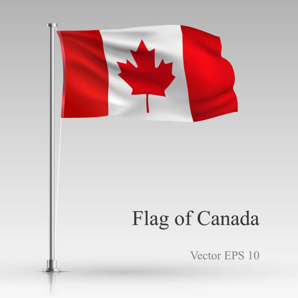 nationalflagge von kanada auf grauem hintergrund isoliert. realistische kanadische flagge im wind wehende. gewellte fahne stock vektor-illustration - canadian flag stock-grafiken, -clipart, -cartoons und -symbole