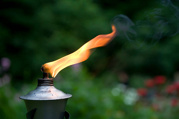 Torch in a garden  tiki torch stock pictures, royalty-free photos & images