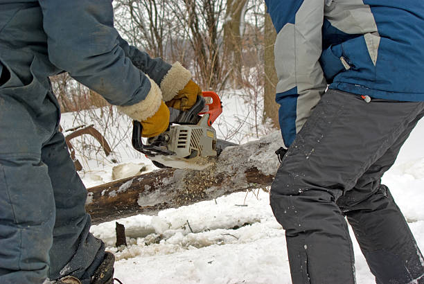 kettensäge schneiden log - chainsaw chain deciduous tree forester woodpile stock-fotos und bilder