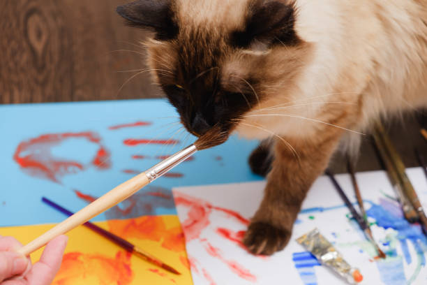istock Artist paint brushes on wooden background, craft art process 930126406