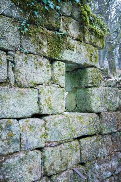 istock Ruins of an old stone building on Dartmoor 930126604