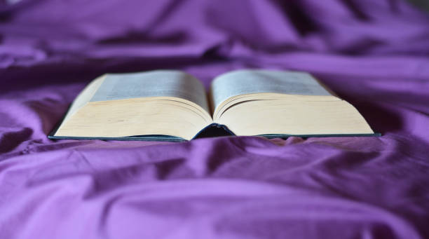 istock A book open on the bed with a purple sheet 930134780