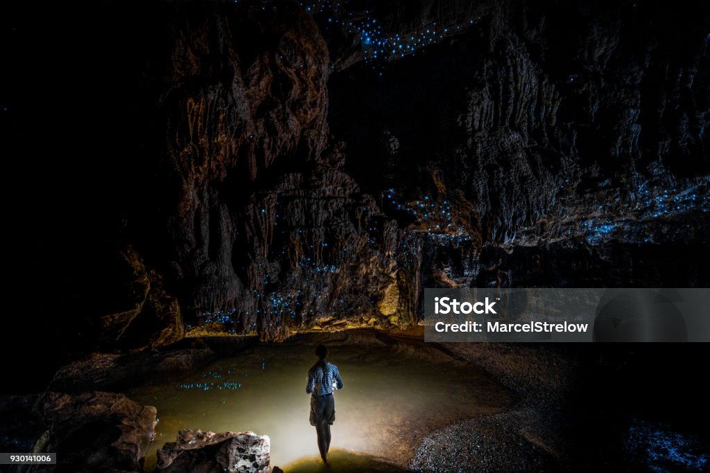 Girl standing underneath Glow Worm Sky in Waipu Cave, new Zealand Girl standing in Glowworm Cathedral at the end of Waipu Cave in New Zealand Cave Stock Photo