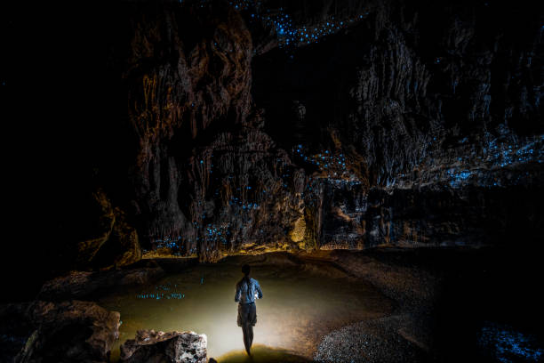 Girl standing underneath Glow Worm Sky in Waipu Cave, new Zealand Girl standing in Glowworm Cathedral at the end of Waipu Cave in New Zealand glowworm photos stock pictures, royalty-free photos & images