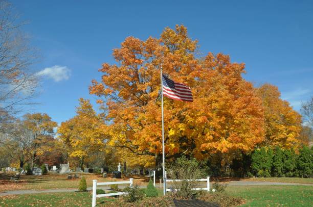 istock Flag of Freedom 930145280