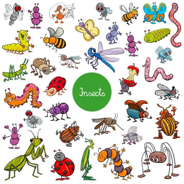 Vector illustration of cartoon insects animal characters big set