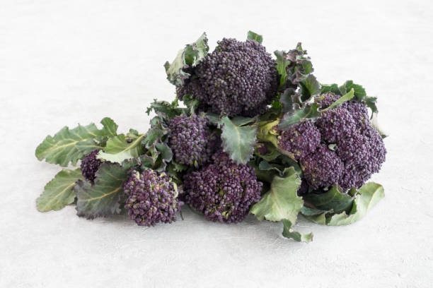 istock Closeup of Purple Sprouting Broccoli 930176096