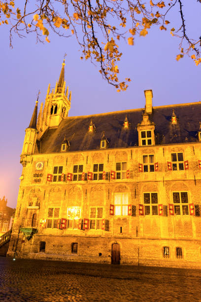 istock City Hall in Gouda seen at dawn 930181950