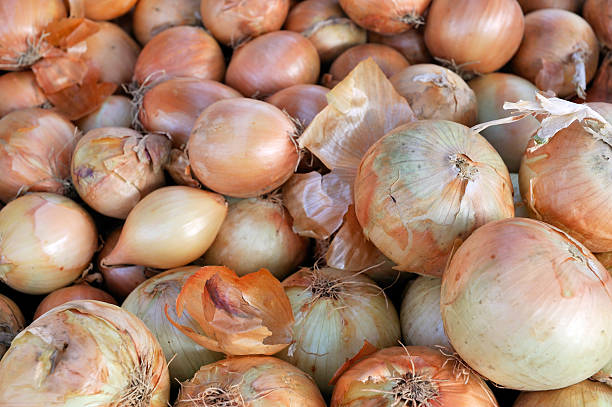 istock onion at the vegetable market 93019274
