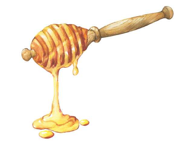 illustrazioni stock, clip art, cartoni animati e icone di tendenza di miele fresco floreale naturale, miele gocciolante su cena in legno. illustrazione di pittura disegnata a mano ad acquerello isolata su sfondo bianco. - honey purity raw pollination