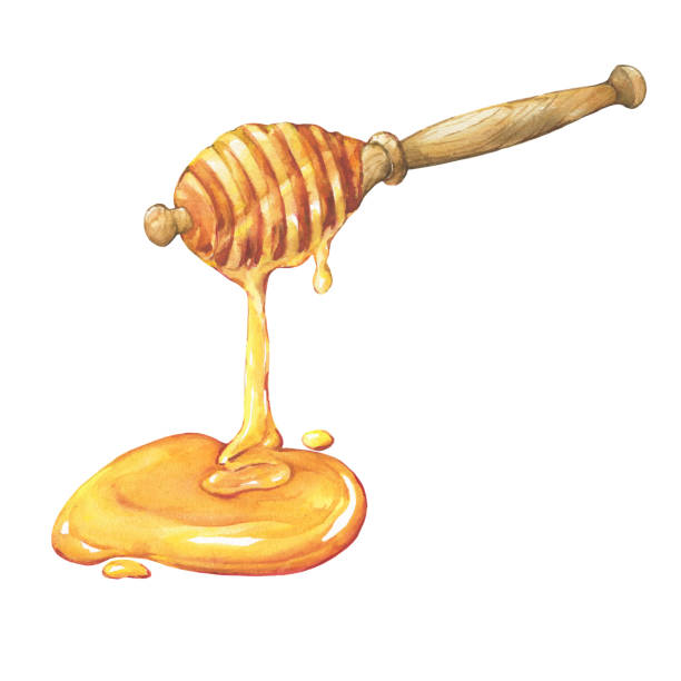 illustrazioni stock, clip art, cartoni animati e icone di tendenza di miele fresco floreale naturale, miele gocciolante su cena in legno. illustrazione di pittura disegnata a mano ad acquerello isolata su sfondo bianco. - honey purity raw pollination