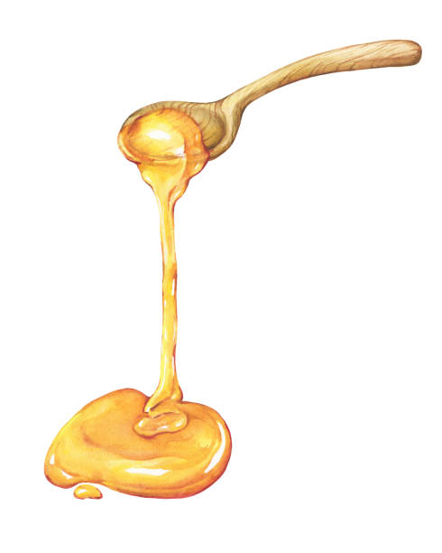 illustrazioni stock, clip art, cartoni animati e icone di tendenza di miele fresco floreale naturale, miele gocciolante su cucchiaio di legno. illustrazione di pittura disegnata a mano ad acquerello isolata su sfondo bianco. - honey purity raw pollination