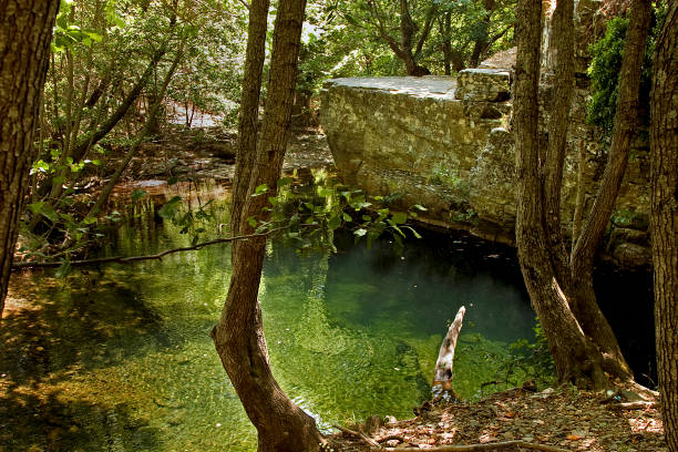 istock Stream in Ida Mountain, Turkey. Beautiful nature. 930198000