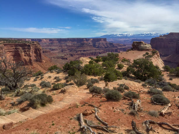 istock Shafer Canyon Overlook, Canyonlands National Park 930198944