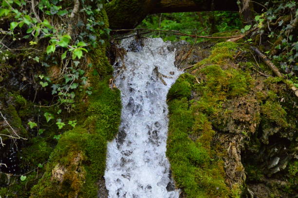 istock One day after the rain in france 930204340