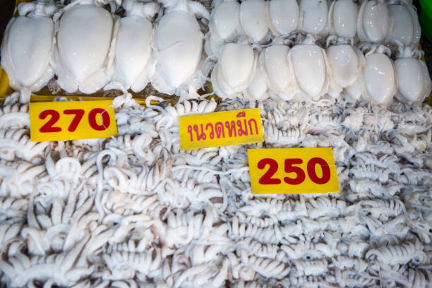 squides at the fish market at the town of Ang Sila near Bang Saen in the Provinz Chonburi in Thailand.  Thailand, Chonburi, November, 2017