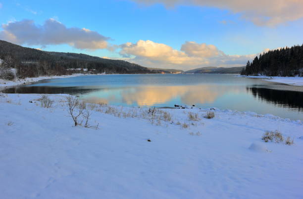 istock Lake Schluchsee at dusk in winter. Black Forest, Germany. 930206794
