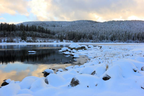 istock Lake Schluchsee at dusk in winter. Black Forest, Germany. 930209336